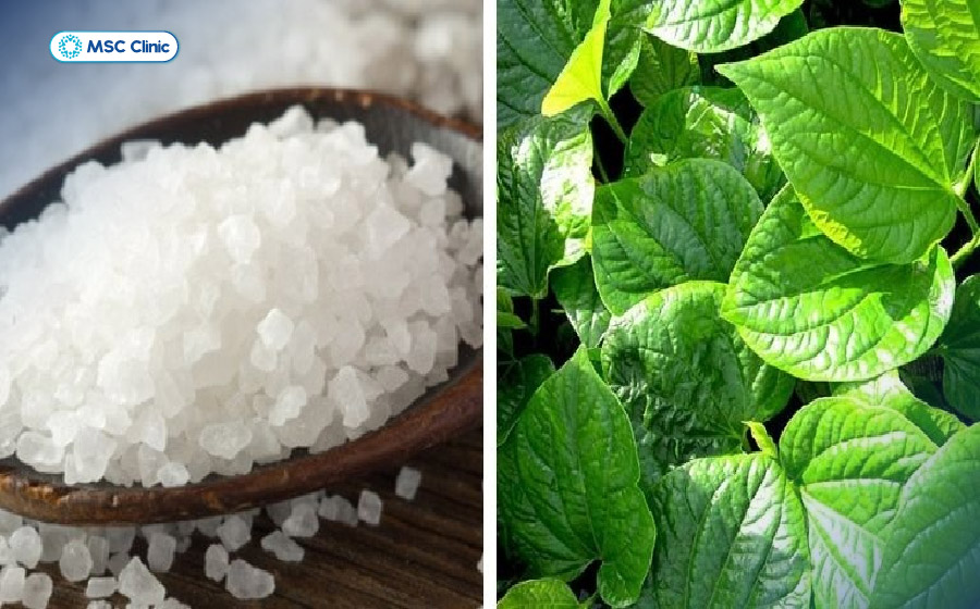 Chườm nóng bằng lá lốt giã cùng muối là cách trị gai cột sống lưng giúp giảm đau nhanh