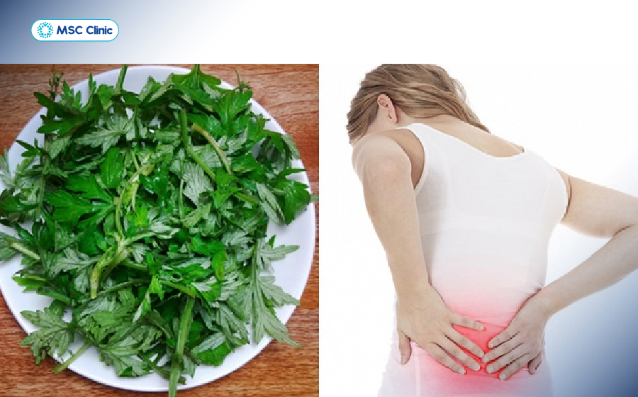 Mẹo dân gian chữa đau thần kinh tọa bằng ngải cứu giúp thư giãn cơ bắp và giảm sưng viêm Mẹo dân gian chữa đau thần kinh tọa bằng ngải cứu giúp thư giãn cơ bắp và giảm sưng viêm