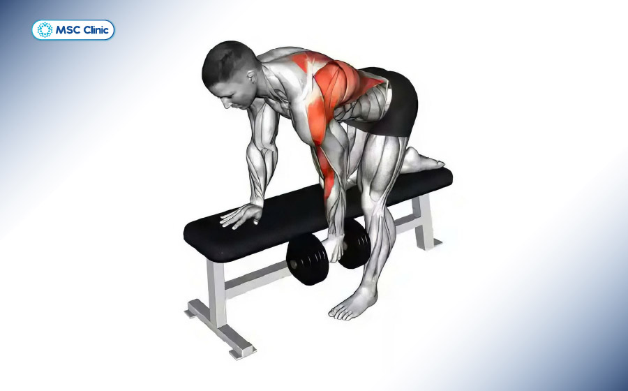 Tập luyện xây dựng cơ lưng giúp hỗ trợ lực cho cột sống giảm chấn thương