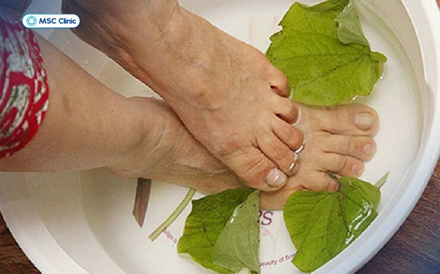 Ngâm chân bằng nước nấu lá lốt là phương pháp dân gian hiệu quả giúp hết hay bị tê chân 