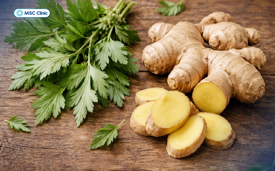 Chữa tràn dịch khớp gối bằng ngải cứu kết hợp gừng giúp thư giãn cơ và giữ ấm cơ thể