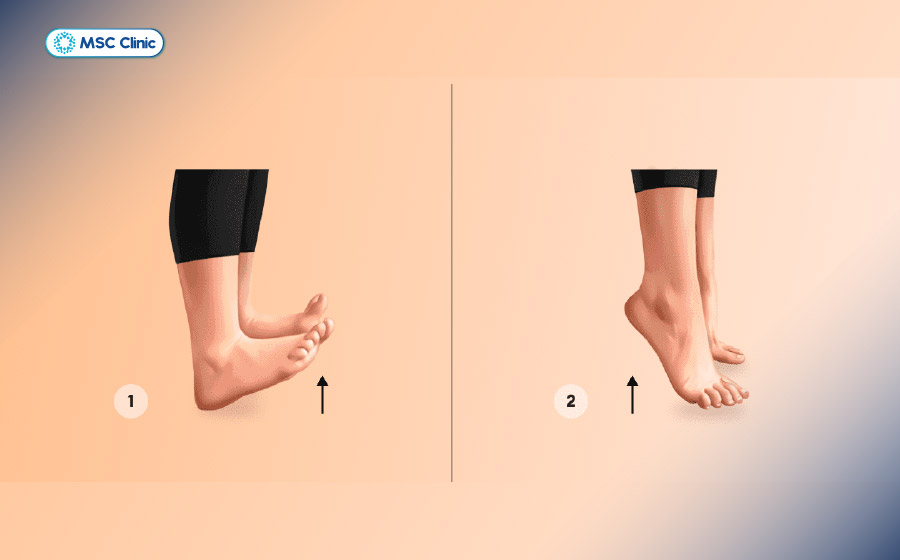 Thực hiện động tác nhón gót và giữ vài giây trước khi hạ xuống giúp cải thiện sự linh hoạt và sức bền của các cơ bàn chân Thực hiện động tác nhón gót và giữ vài giây trước khi hạ xuống giúp cải thiện sự linh hoạt và sức bền của các cơ bàn chân