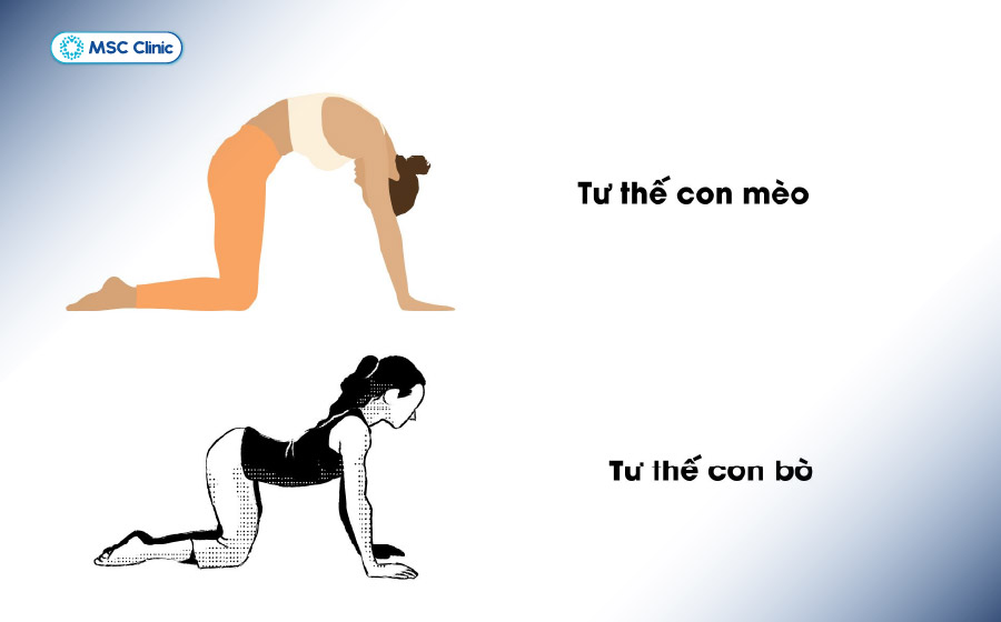 Các bài tập vật lý trị liệu phù hợp góp hỗ trợ cột sống khỏe mạnh và giảm đau