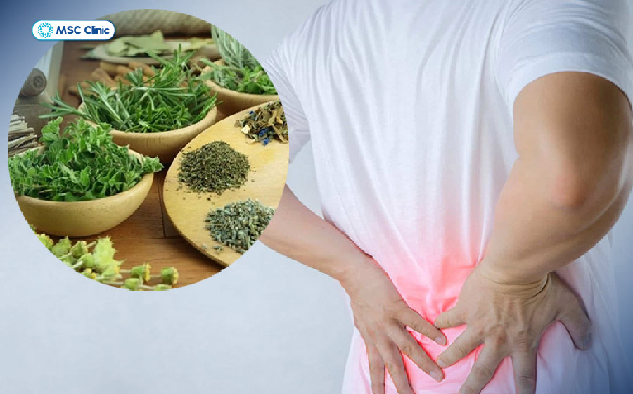 Có thể giảm triệu chứng đau lưng bằng cách áp dụng các bài thuốc từ nguyên liệu tự nhiên