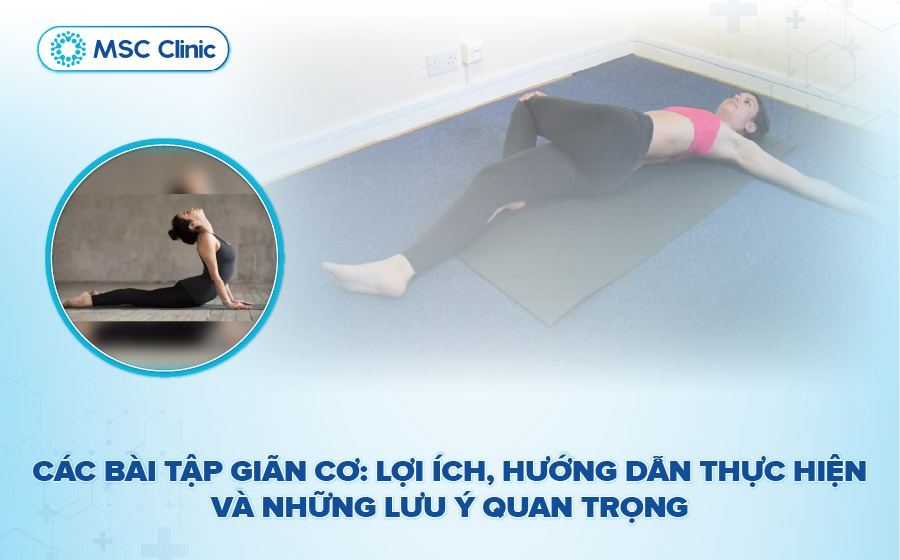 Các bài tập giãn cơ: Hướng dẫn 12 bài tập hiệu quả và lưu ý