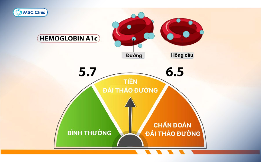 Thước đo các mức chỉ số HbA1c Thước đo các mức chỉ số HbA1c