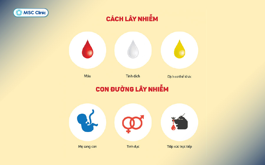 Viêm gan B, C có khả năng lây nhiễm qua những con đường nhất định