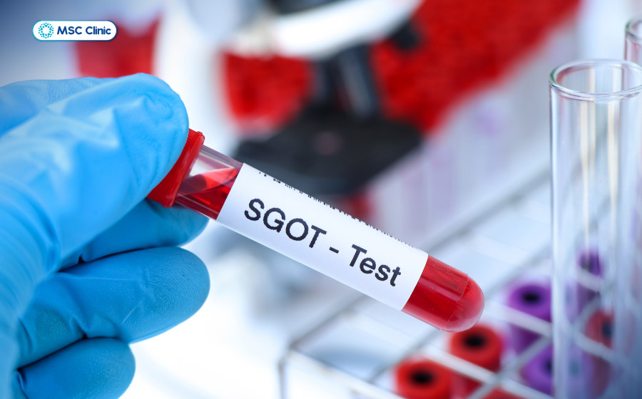Xét nghiệm AST giúp đánh giá nồng độ enzyme chuyển hóa, xuất hiện ở gan và nhiều cơ quan khác