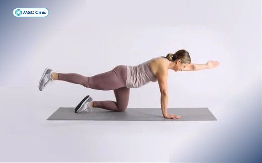 Bài tập Bird-Dog giúp rèn khả năng kiểm soát và ổn định vùng thân mình 