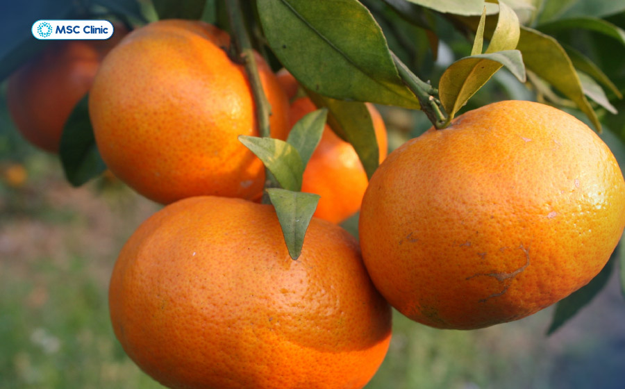 Cam chứa vitamin C, chất xơ và các hợp chất thực vật có lợi cho sức khỏe