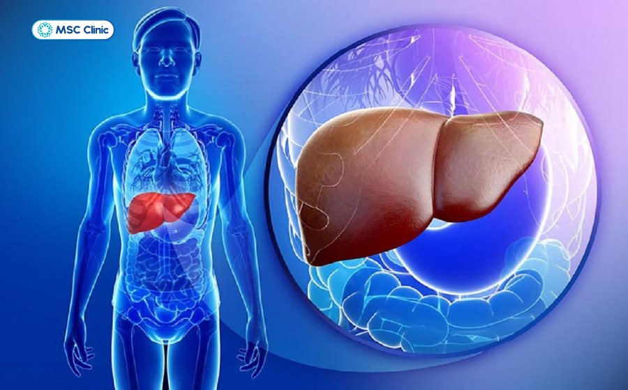 Viêm gan B cấp tính có thể phục hồi nếu được phát hiện và điều trị kịp thời