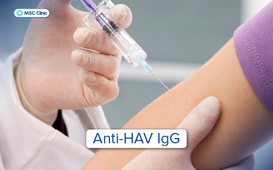Anti-HAV IgG giúp đánh giá tình trạng miễn dịch với virus viêm gan A