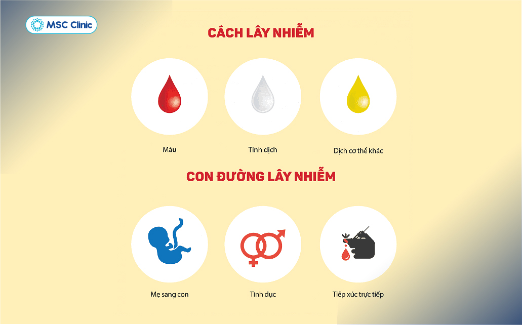 Ba con đường lây nhiễm viêm gan B chính